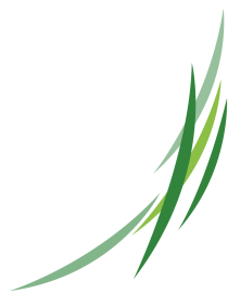 awrak_Plan-de-travail-1